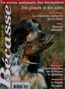 Le chasseur de bécasse