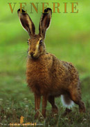 vènerie