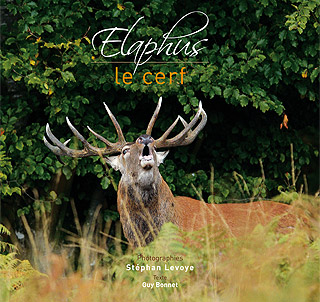 elaphus le cerf